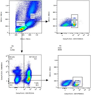 Regulation of CD47 expression on CD14+ monocytes by interferon-α in PBC patients